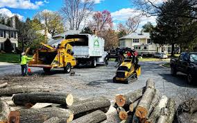 Best Utility Line Clearance  in Birch Bay, WA